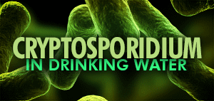Cryptosporidium in Drinking Water