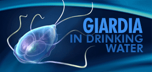 Giardia in Drinking Water