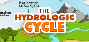 The Water Cycle