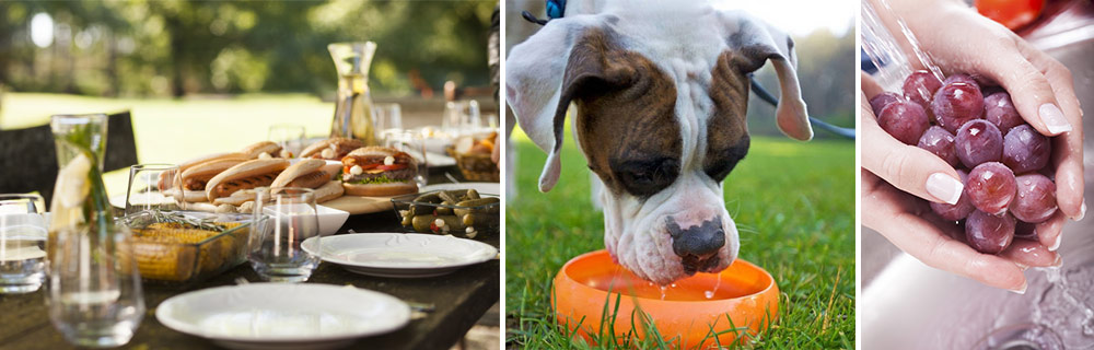 Uses for Water Filtration