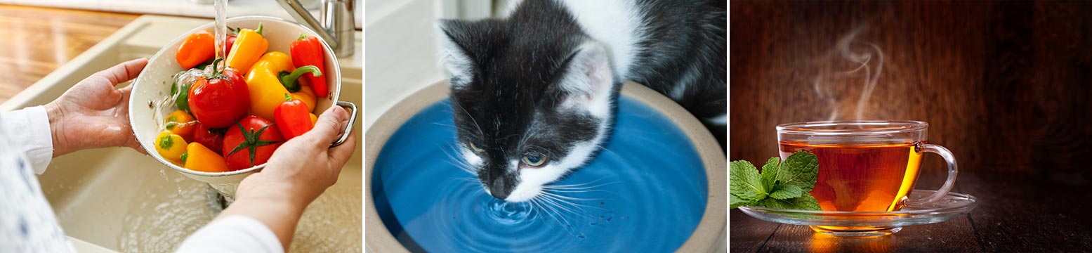 Uses for Water Filtration