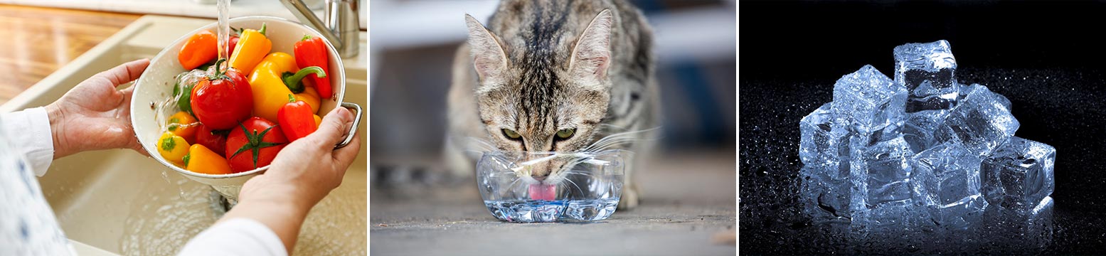 Uses for Water Filtration