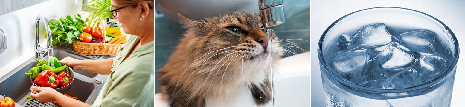 Uses for Water Filtration