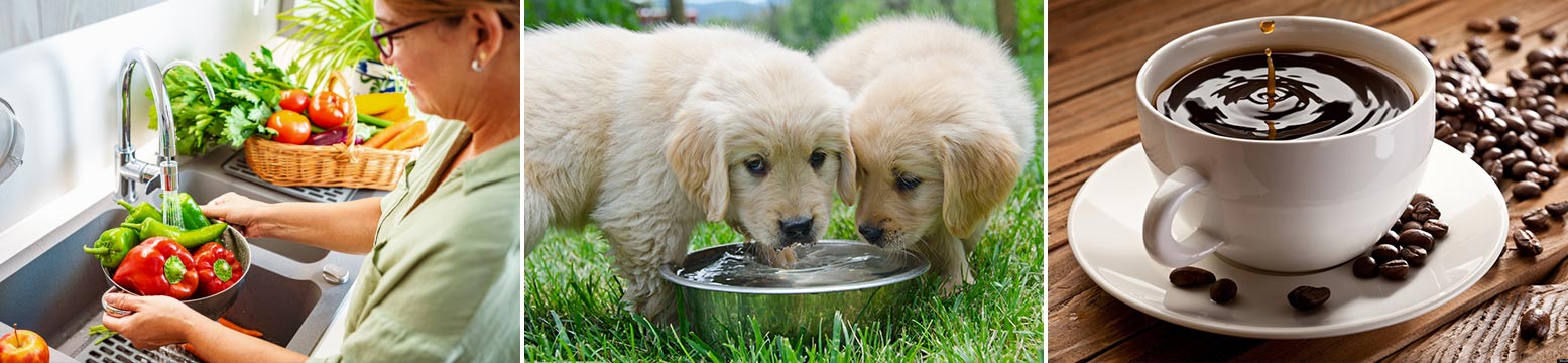 Uses for Water Filtration