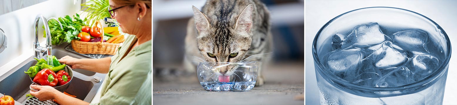 Uses for Water Filtration