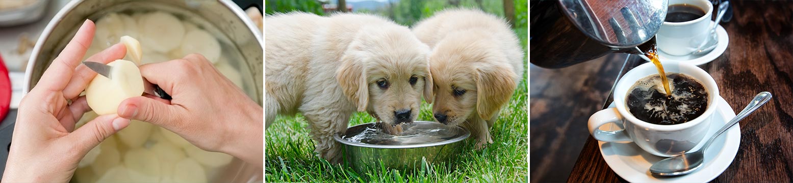 Uses for Water Filtration