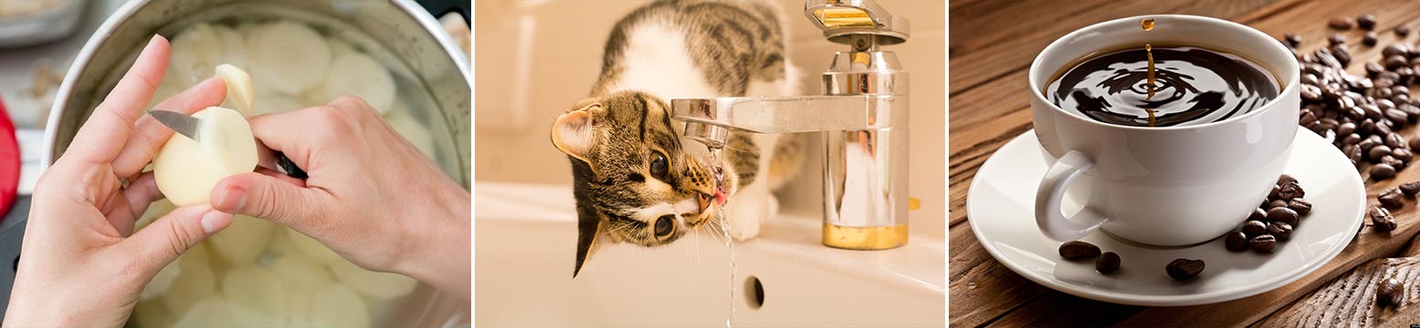 Uses for Water Filtration