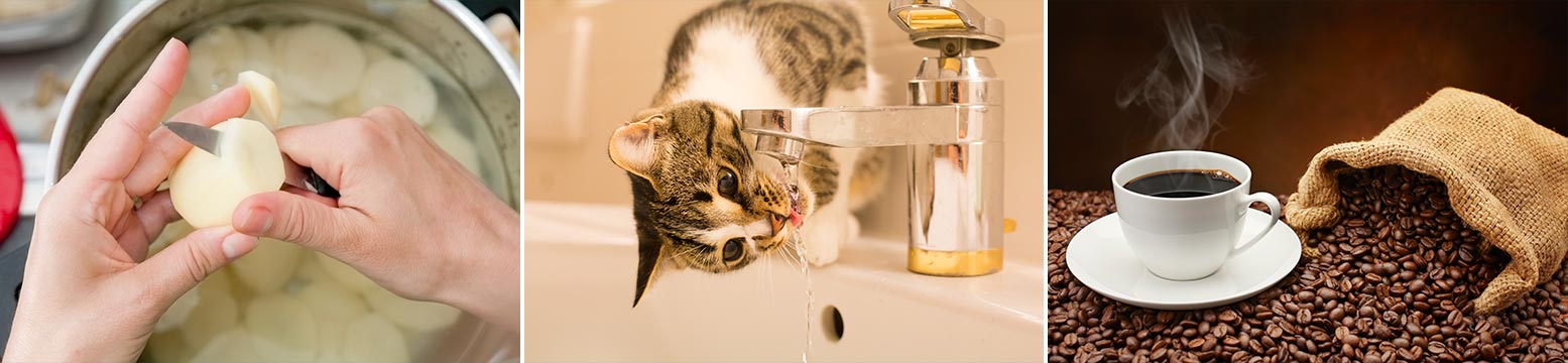 Uses for Water Filtration