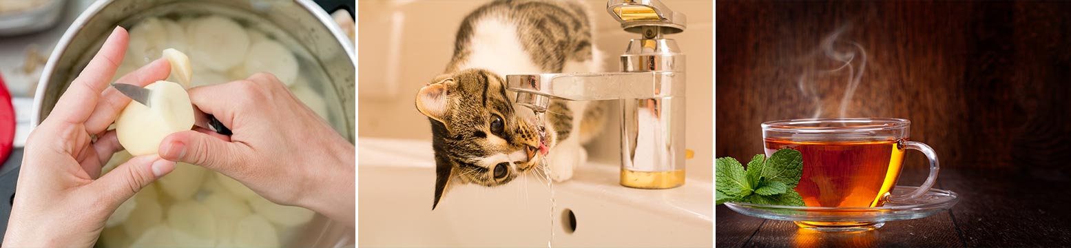 Uses for Water Filtration