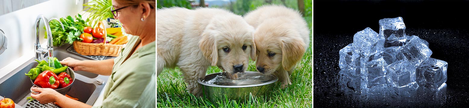 Uses for Water Filtration