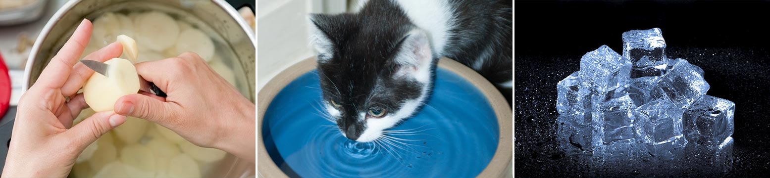 Uses for Water Filtration