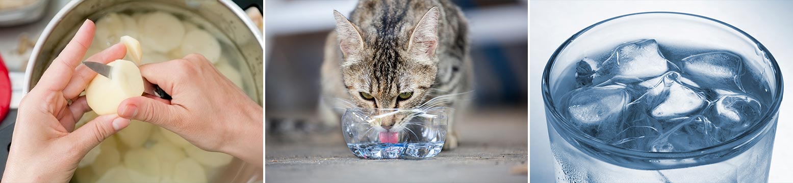 Uses for Water Filtration