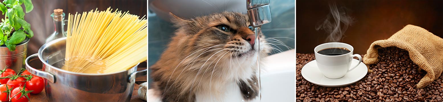 Uses for Water Filtration