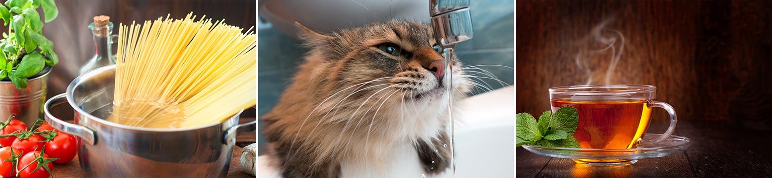 Uses for Water Filtration