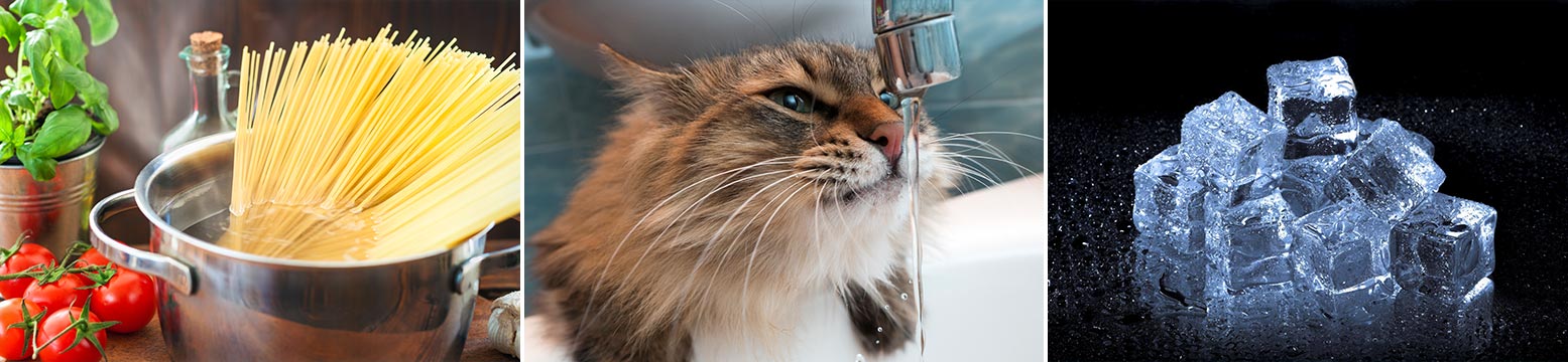 Uses for Water Filtration