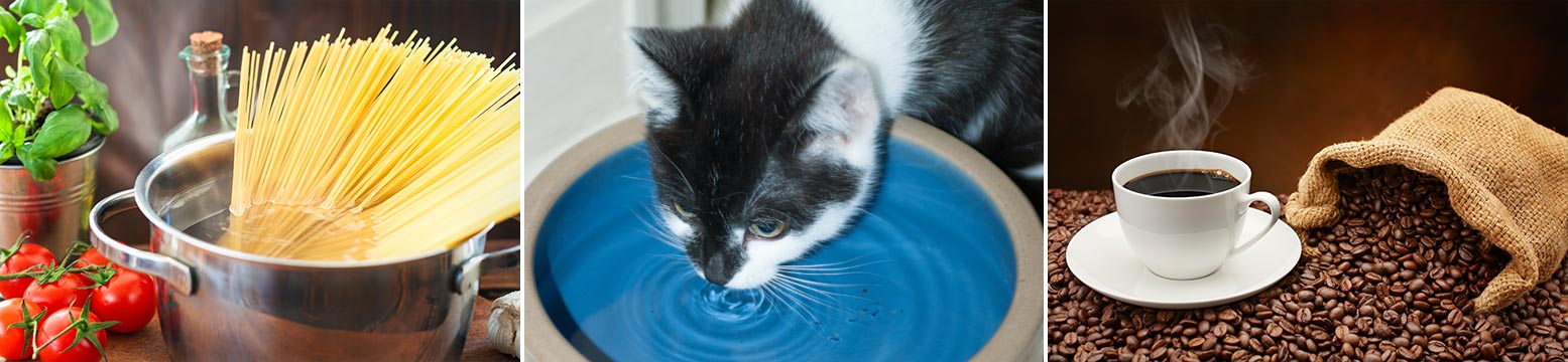 Uses for Water Filtration