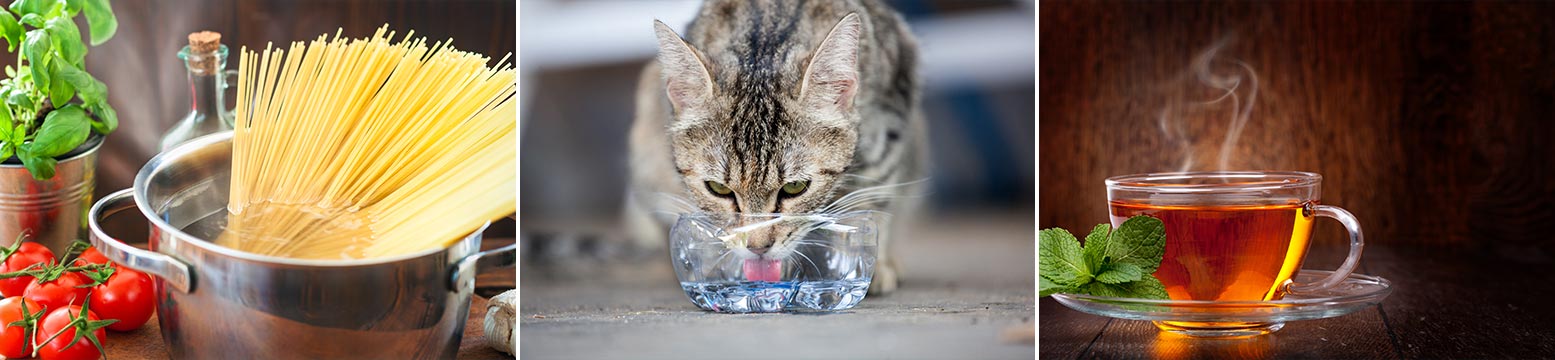 Uses for Water Filtration