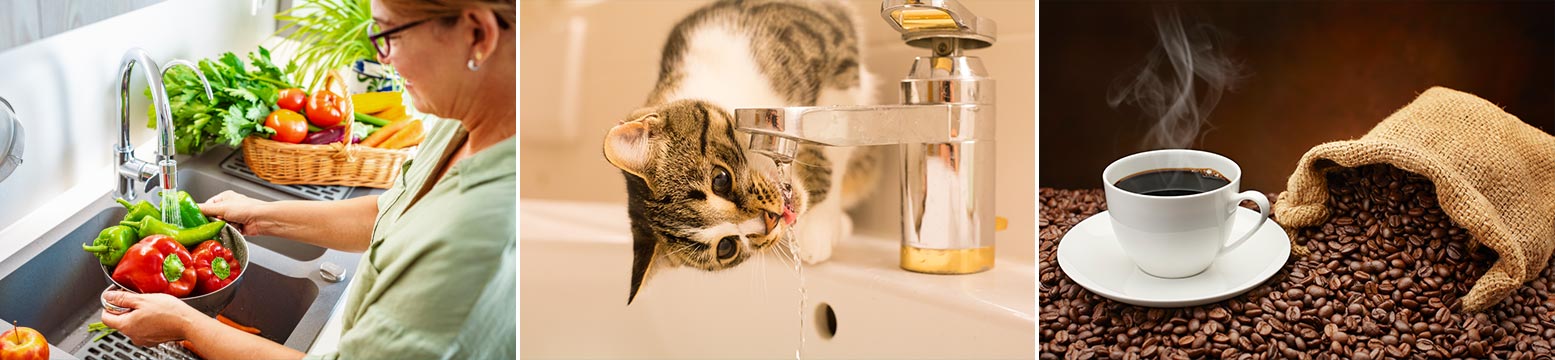 Uses for Water Filtration