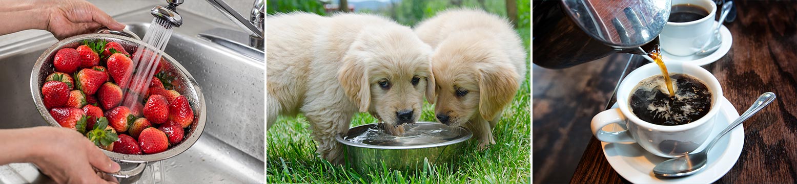 Uses for Water Filtration