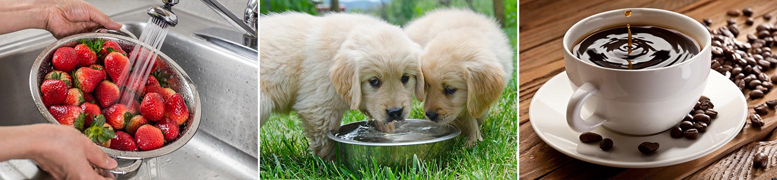 Uses for Water Filtration