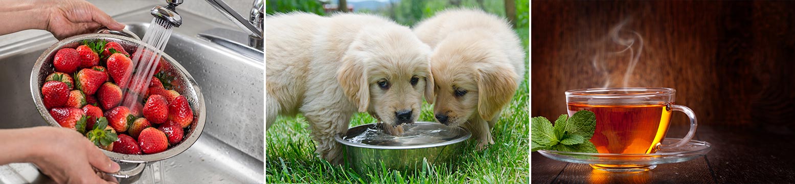 Uses for Water Filtration