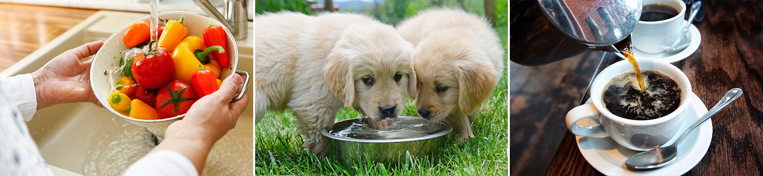Uses for Water Filtration