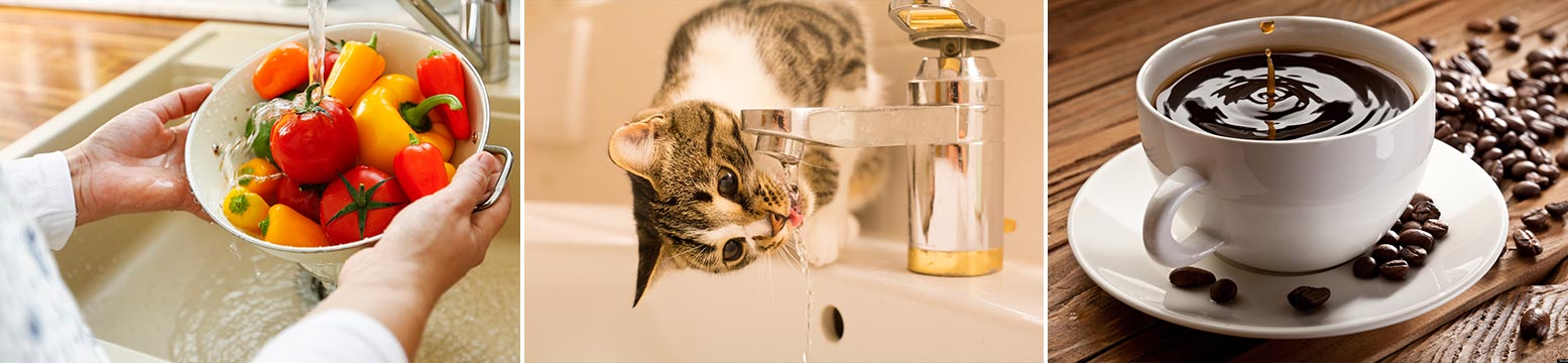 Uses for Water Filtration