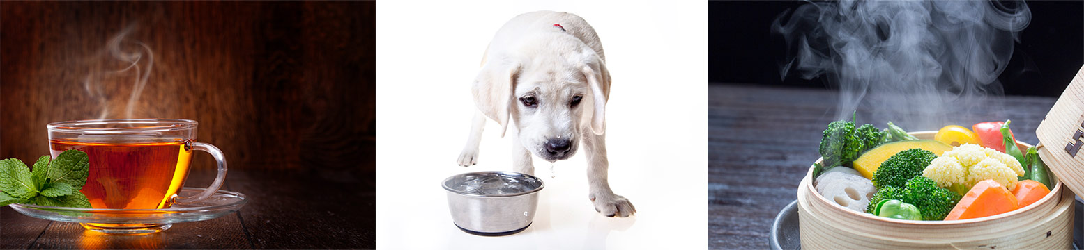 Uses for Water Filtration