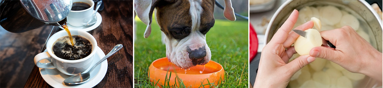 Uses for Water Filtration