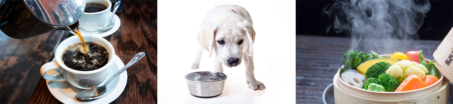 Uses for Water Filtration