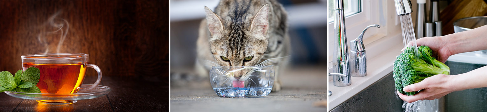 Uses for Water Filtration