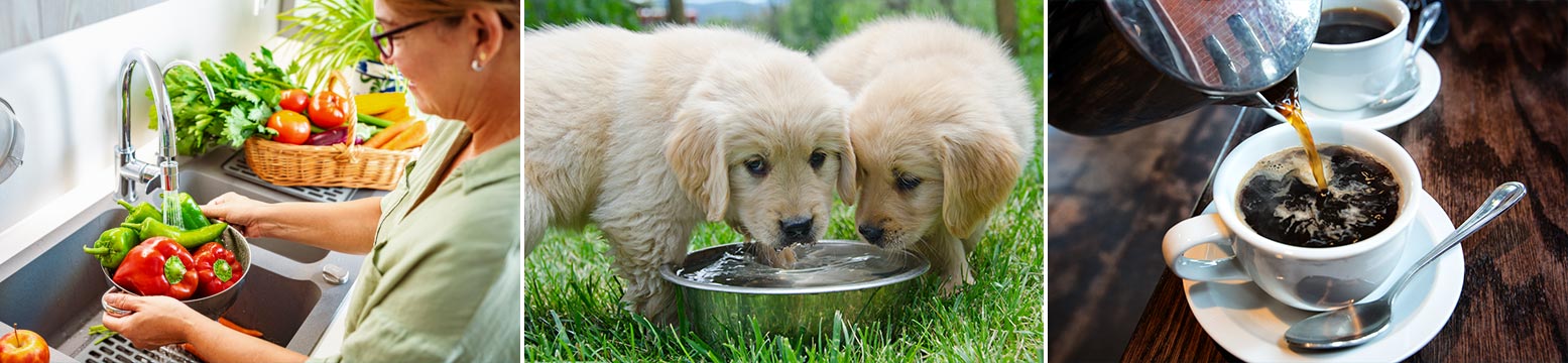 Uses for Water Filtration