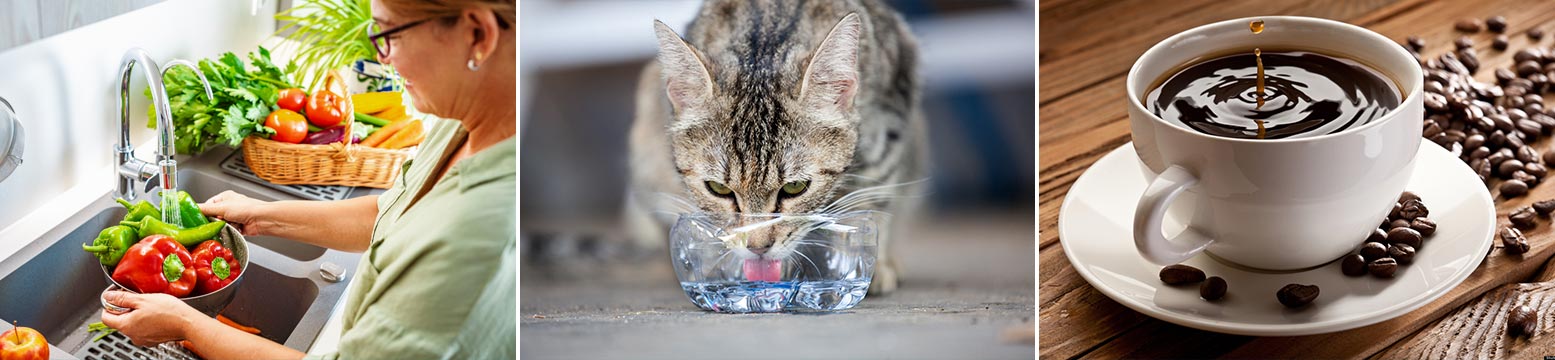 Uses for Water Filtration