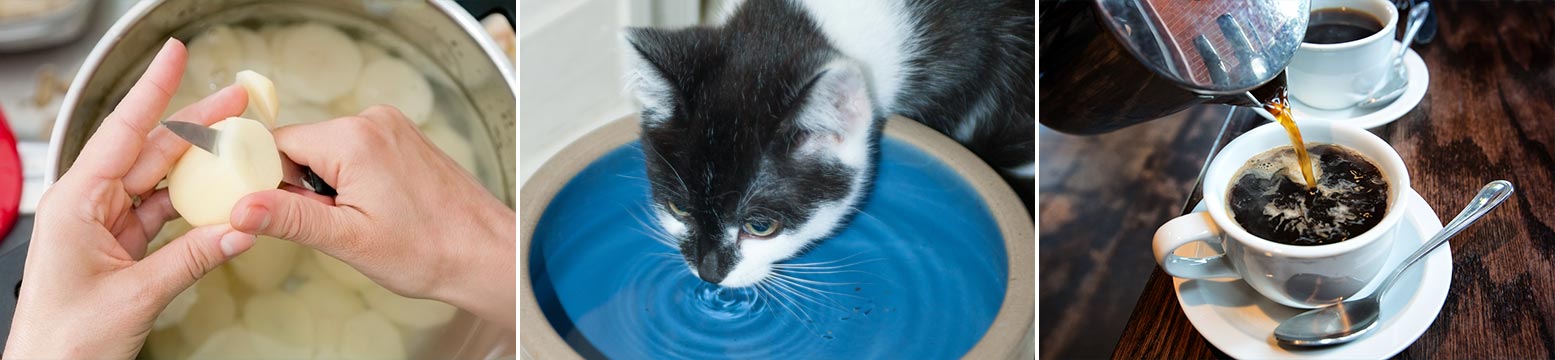 Uses for Water Filtration