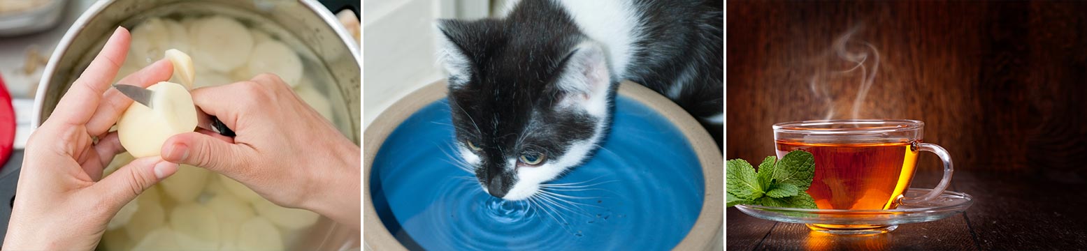 Uses for Water Filtration