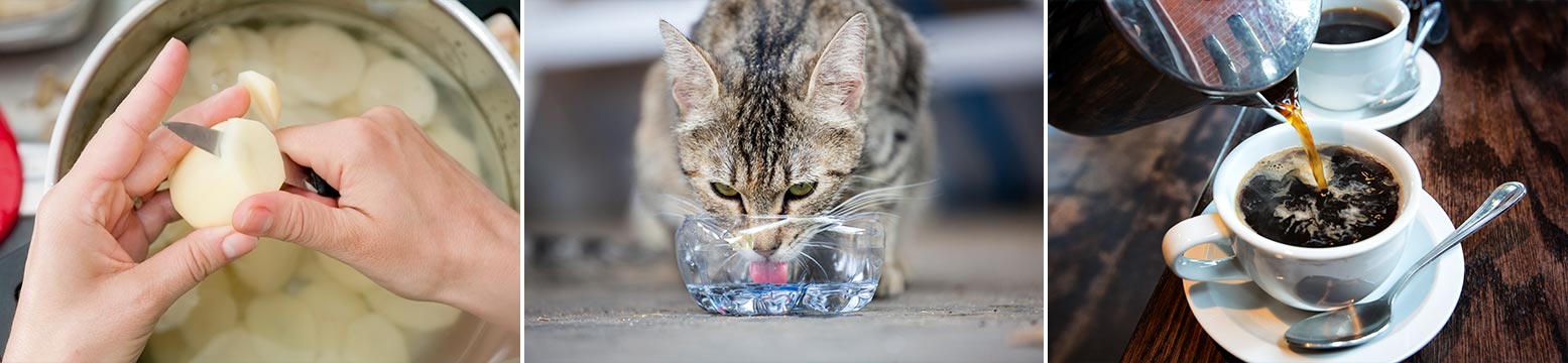 Uses for Water Filtration