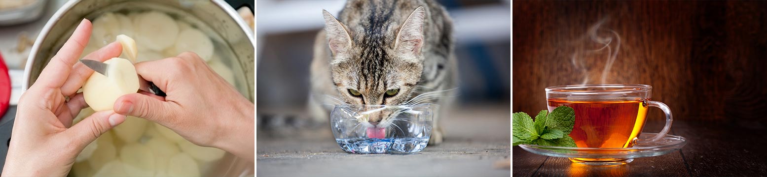 Uses for Water Filtration