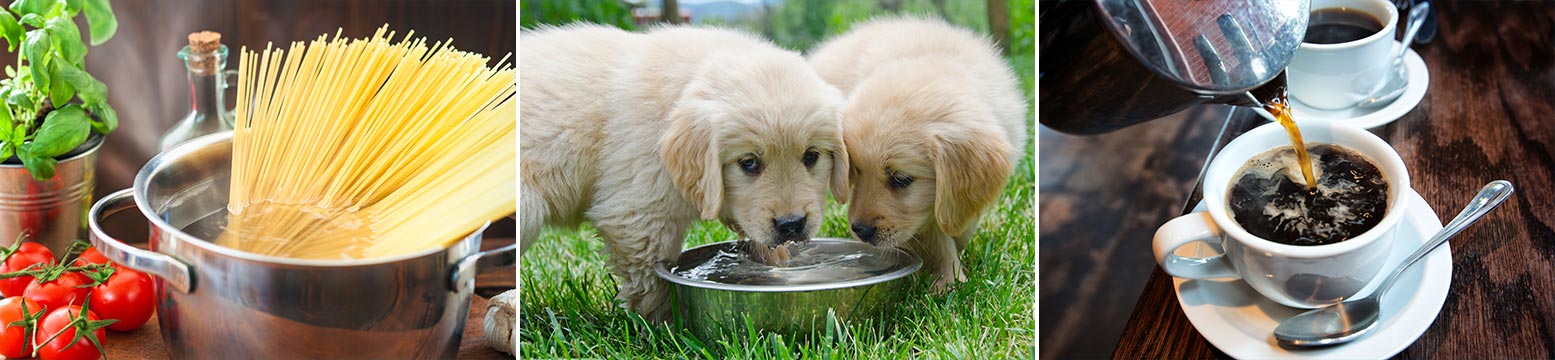Uses for Water Filtration