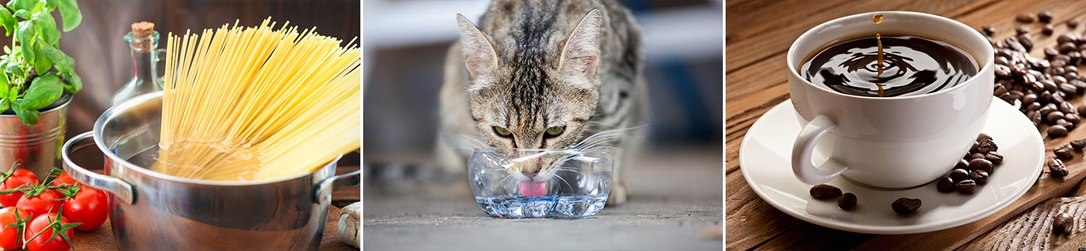 Uses for Water Filtration