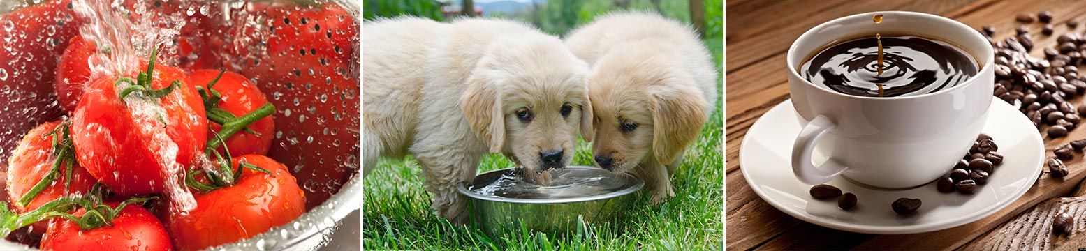 Uses for Water Filtration