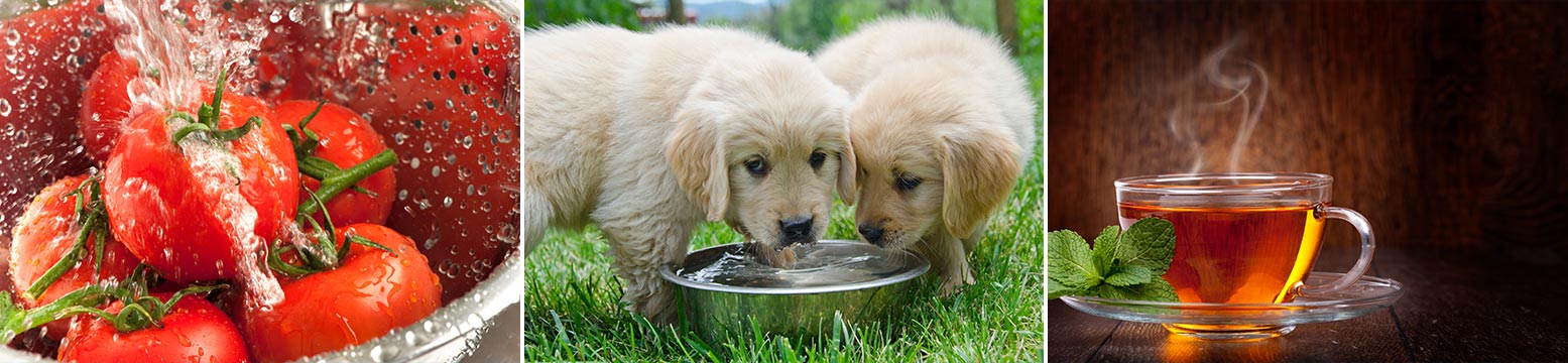 Uses for Water Filtration