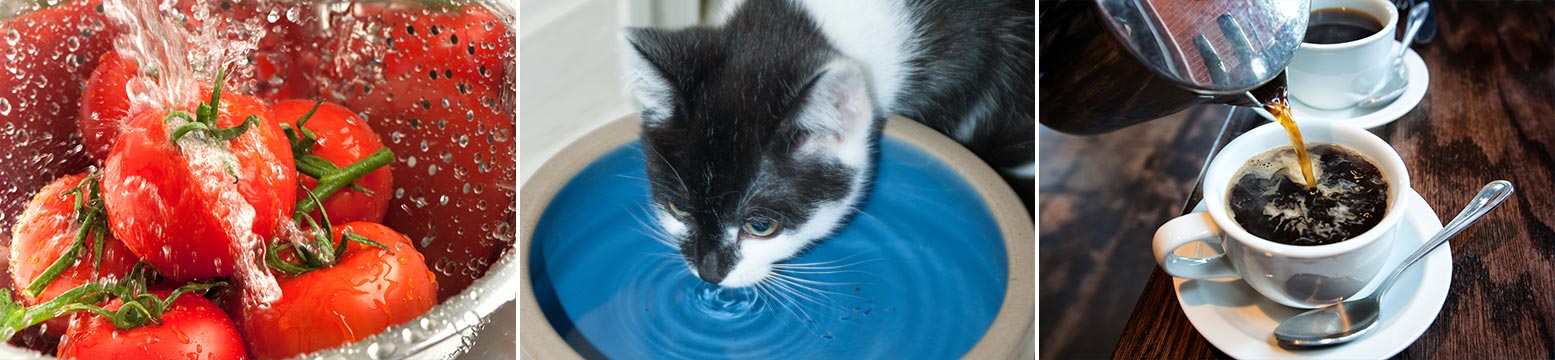 Uses for Water Filtration