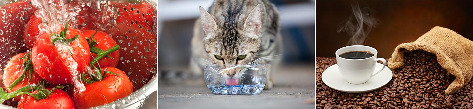 Uses for Water Filtration