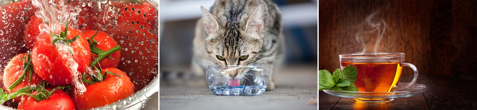 Uses for Water Filtration