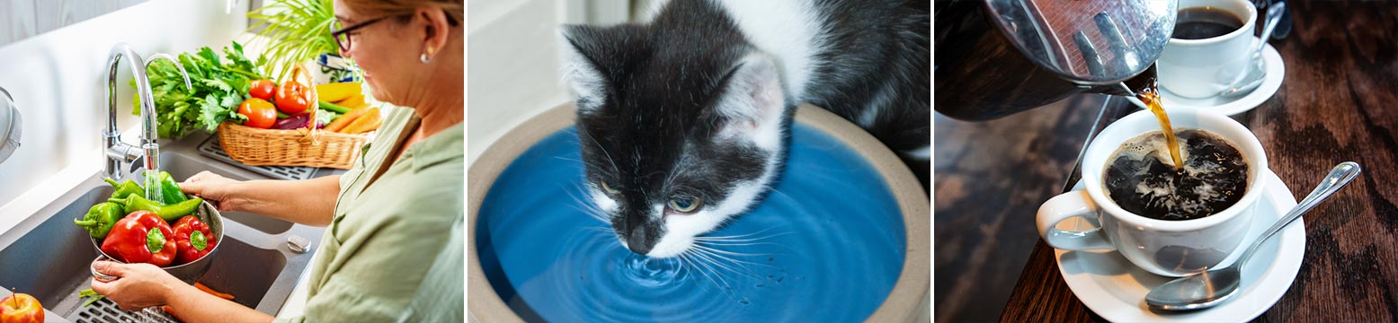 Uses for Water Filtration
