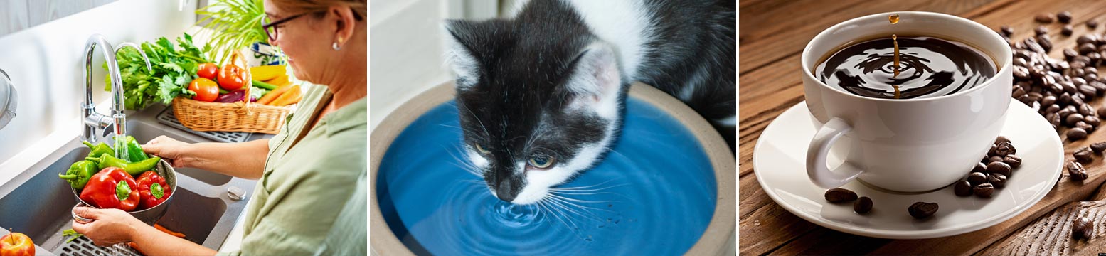 Uses for Water Filtration