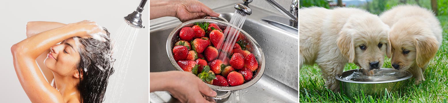 Uses for Water Filtration