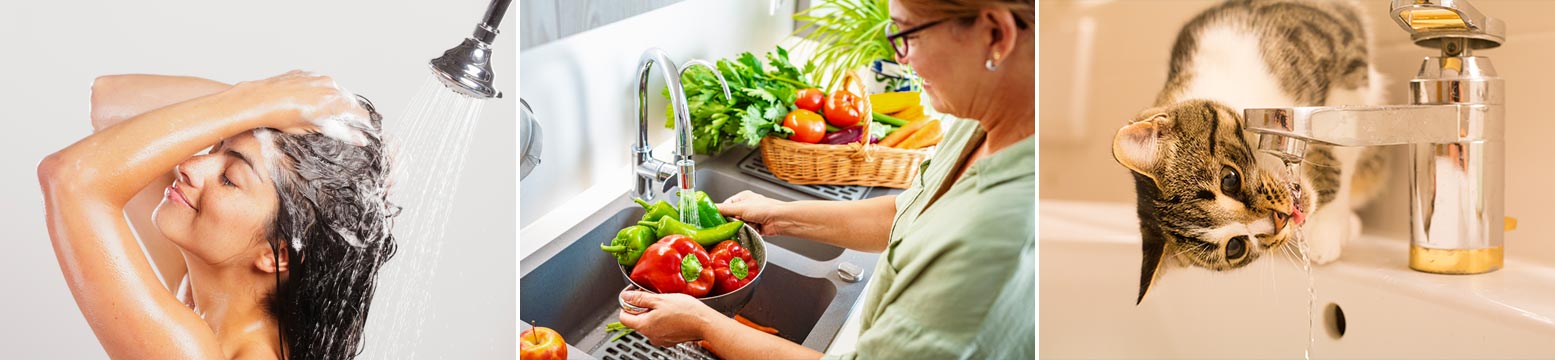 Uses for Water Filtration