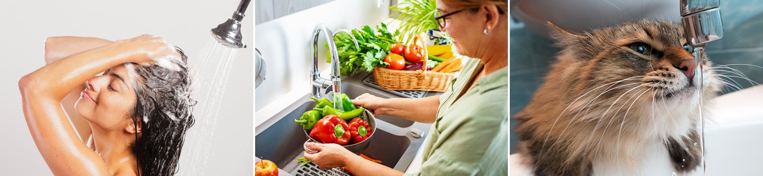 Uses for Water Filtration