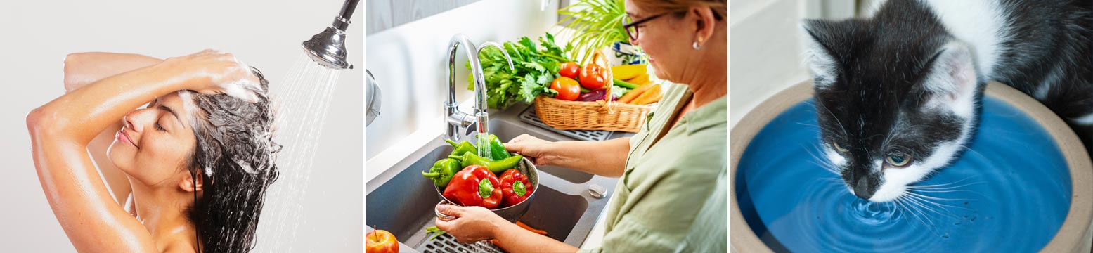 Uses for Water Filtration